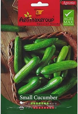 Small high quality cucumber seeds of the Agrimax® "Garden Care" group ".. Shop smart and save with DIAYTAR NIGERIA's extensive product range and 5-8 day delivery guarantee.