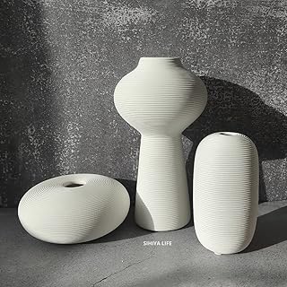 Sehia Life Set of 3 white ceramic vases in relief | With 20 white vase filling pieces | For the floral compositions, the elegant decoration of the house, the gifts (D).. Unlock access to a wide range of products with DIAYTAR NIGERIA's affordable e-commerce platform.