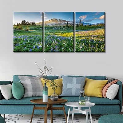 Wall decoration for Mont Rainier Canvas National Park Salon.. Shop with purpose and save with DIAYTAR NIGERIA's extensive platform and nationwide delivery service.