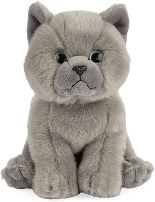 Living nature k-craft nature british shorthair chat en peluche, gris, an447.. One platform, all your needs — DIAYTAR Nigeria delivers quickly.
