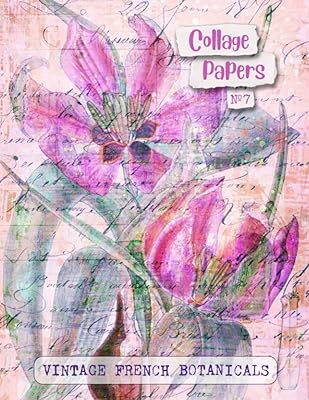 Collage papers n ° 7 French botanics: 25 beautiful leaves for newspapers, cuts albums and multimedia art (Artful series).. DIAYTAR NIGERIA brings affordable shopping solutions to every corner of Nigeria in just 5-8 days.