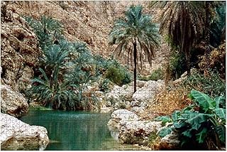 Wadi shab wooden puzzle 1000 pieces for adults, decompression tools, DIY for children, creative educational puzzles, toys, gift, decoration of the.. Shop confidently with Nigeria's most trusted e-commerce platform, offering swift and affordable delivery.