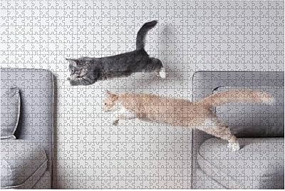 Cats jumping 1000 pieces wooden puzzle for adults DIY decompression children educational puzzles creative games toys gift decoration.. DIAYTAR NIGERIA bridges the gap between desire and affordability with nationwide delivery in under 8 days.