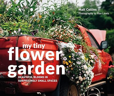 My little flower garden: beautiful flowers in surprisingly small spaces.. Experience the future of online shopping with DIAYTAR NIGERIA's extensive product range and competitive pricing.