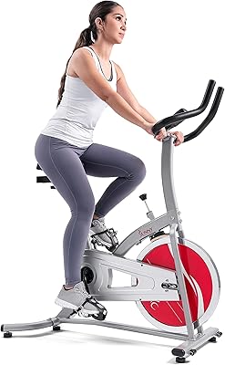 Sunny Health & Fitness SF -B1203 Professional Interior Exercise Bike for Unisexes - Silver, one -sized adults.. DIAYTAR NIGERIA: Your affordable gateway to thousands of products delivered promptly nationwide.