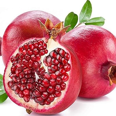 200pcs Granada seeds for planting, pomegranate, sweet fruits, shrubs and dwarf plants, grenade seeds.. Your budget-friendly online marketplace, DIAYTAR NIGERIA delivers a world of products in just 5-8 days.