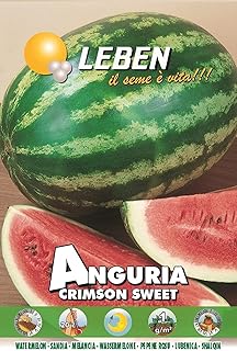 Lepine watermelon seeds (Sweet Angoria Crimson) High quality seeds made in Italy from DXB Garden.. From tech gadgets to groceries, DIAYTAR Nigeria is your all-in-one online store. And the best part? Delivery happens fast — between 5 to 8 days.