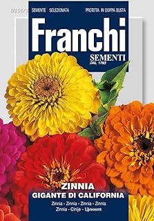 Franchi Zegna Giant California.. Discover shopping made effortless with DIAYTAR NIGERIA's comprehensive platform and quick shipping.