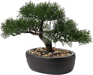 Bonsai, artificial ceramic plants, artificial Japanese bonsai for the house, the office, the bathroom, the kitchen, the farm, interior and outdoor decoration (bonsai #05).. Nigeria's most diverse e-commerce platform delivers quality and affordability to your doorstep in 5-8 days.