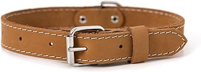 Luxury Euro-Dog necklace in soft leather with adjustable loop made in the United States.. Looking for trendy fashion, home essentials, or electronics? DIAYTAR Nigeria has it all and delivers within days, not weeks.