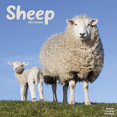 Wall calendar sheep 2023.. Enjoy deals you can’t resist and delivery you can trust — DIAYTAR Nigeria.