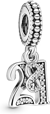 Moments for women in Sterling silver 21 years of love with Zircon.. For everyday items and more, trust DIAYTAR Nigeria.