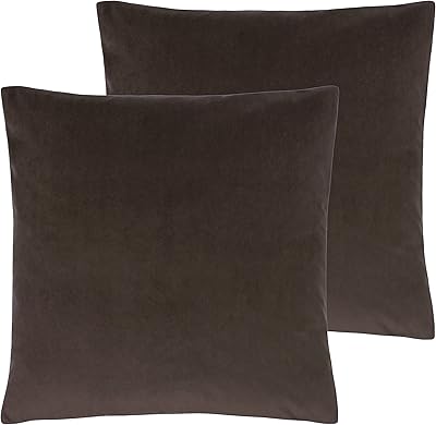 Pillows filled with Evans Lichfield Sunningdale feathers (Package of two) 50 x 50 cm.. DIAYTAR NIGERIA: Where quality meets affordability, with thousands of products delivered in less than 8 days.