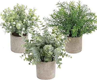 Sekin Lot of 3 mini artificial mini plants in plastic pot, eucalyptus plants green in 9.5 "pot for the house, the office, the farm, the bathroom, the kitchen, the interior and outdoor decoration.. Your digital shopping companion, DIAYTAR NIGERIA offers unmatched value with nationwide shipping.