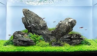 Landen natural rocks for aquarium, baldarium, terrariums, landscape rocks and aquarium planning by Sio Stones, 40L (17LBS) 3-11.. DIAYTAR NIGERIA makes every purchase count with our affordable prices and reliable 5-8 day shipping.