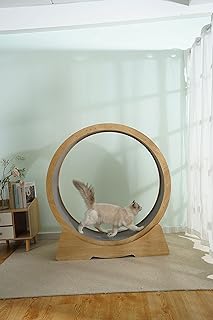 Royal Polar Royal Plan Interior Bike, Silent Wood Silent Wood Exercise Bike, Cat Training Equipment.. No delays, no drama — just fast, affordable shopping with DIAYTAR Nigeria.