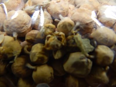 Takething Paneer Doda Phool Withania Anti-Diabetic Coagulans 500g External, Quality.. Fast, easy, and affordable — that’s shopping the DIAYTAR Nigeria way.