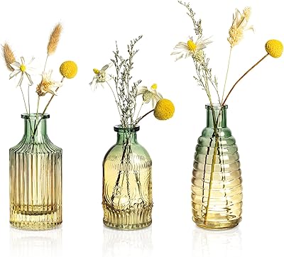 Set of 3 vases in embossed glass small ancient flower vase for the.. Shop with ease at DIAYTAR NIGERIA and enjoy our extensive product range delivered at affordable rates.