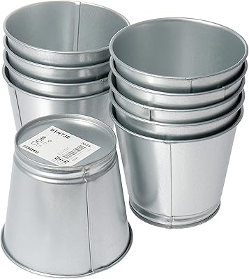 Ikea Bintje Galvanized Steel Plants 9 cm - Lot of 10.. Fast. Reliable. Affordable. DIAYTAR Nigeria is all that and more.
