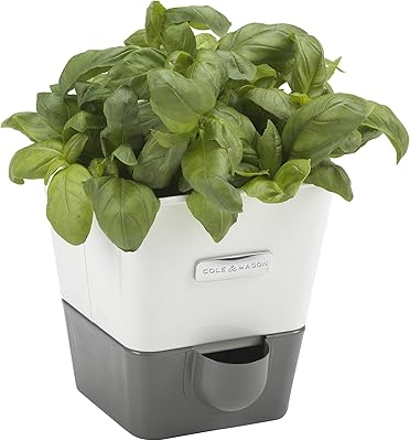 COLE & MASON BURWELL H105249 Aromatic herbs planter in automatic watering pots, interior herb box, interior aromatic herbs garden, includes 4 x pads, 2 years warranty, simple, suitable for 1 pot (85 mm).. Discover the perfect shopping balance at DIAYTAR NIGERIA with competitive prices and prompt delivery.