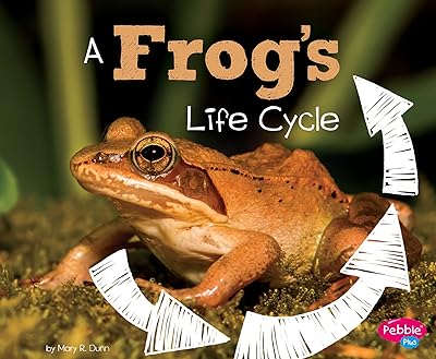 The life cycle of a frog.. Why pay more? DIAYTAR Nigeria gives you the best for less.