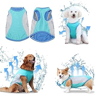 Light microfiber -cooling microfiber racing vest, dog protection for walking and running with reflective label, sleeveless.. DIAYTAR NIGERIA: Your partner in affordable shopping with nationwide delivery in just 5-8 days.