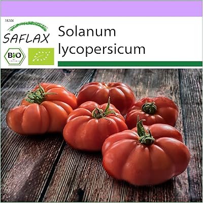 Biological - tomato - Marmande red - 10 seeds - Solanum lycopersicum.. Shop with confidence at DIAYTAR NIGERIA, where affordability meets reliability in less than 8 days.