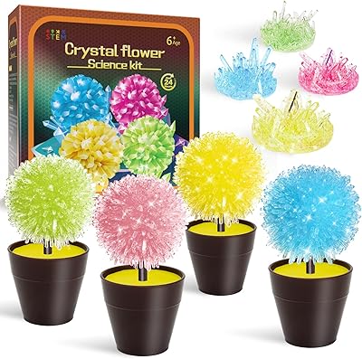 Children's amosting crystal culture kit (4 pieces).. DIAYTAR NIGERIA: Your trusted partner for affordable online shopping with reliable delivery timeframes.