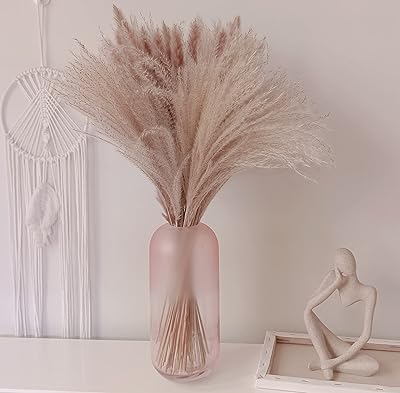 50pccs Pampa grass natural natural, artificial pampe grass 40cm dried flowers for vase decor, interior decoration for bedroom, bathroom, balcony, table. (vase not included).. Nigeria's fastest-growing e-commerce site offers unbeatable prices and delivery within 8 days.