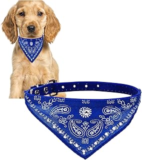 Hypoallergenic polyester Crystal Pet Accessory for male and female dogs.. Shop with purpose at DIAYTAR NIGERIA, where your money goes further and delivery is always prompt.