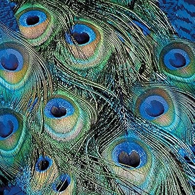Ambiente peacock feathered towels, 33 cm, pack of 20.. Shop smarter with DIAYTAR NIGERIA's comprehensive catalog and budget-friendly 5-8 day delivery.