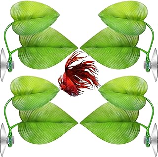 Alykdon Betta 4 -piece bed hammock for Betta fish, light and realistic rest place for pillow in fish leaf, artificial aquarium accessories for decoration (double sheet).. Shop from our extensive catalog at DIAYTAR NIGERIA and enjoy doorstep delivery in just 5-8 days.