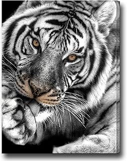 BIUTEAWAL MURAL ART OF Tiger Black And White For Salon, Brown Tiger Eyes, Printed Painting On Canvas, Wild animals, Home Decoration, Office, Man bedroom, modern decoration ready to hang.. Love deals? DIAYTAR Nigeria has you covered with low prices and fast delivery.
