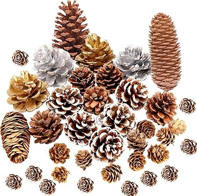 37 Pieces Natural Pine Pottoles for Christmas Tree, Large and Small White Pine Contests, Silver, Gold, Crafts, Autumn Christmas Crown, Tree Decoration.. Shop with purpose at DIAYTAR NIGERIA and receive your purchases at unbeatable prices within the week.