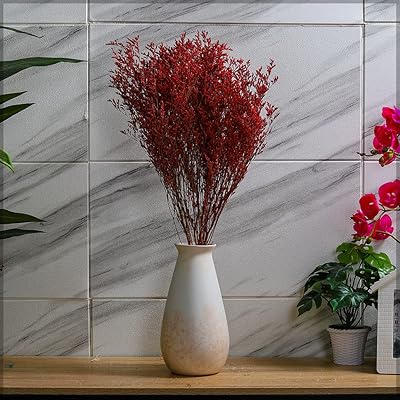2 pieces of natural dried lavender flowers 30 cm long, holiday ornaments, purple dried flowers for home decoration, birthday party, dried flowers, vase decor (red).. DIAYTAR NIGERIA: Your partner in affordable shopping with nationwide delivery in just 5-8 days.