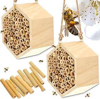 Set of handmade bamboo bee tubes with 120 nests of wooden bees 2.8 "in length for garden enthusiasts, attracts bee pollinators to increase the productivity of your 2 -room garden.. Shop for everything you need at DIAYTAR NIGERIA, with budget-friendly prices and quick delivery.