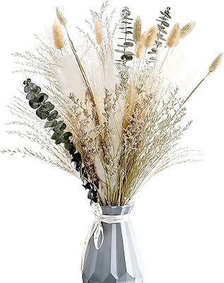Bouquet of natural dried flowers, 17 -inch white pampe grass branches, boho vase decor, home wedding party decoration at home.. DIAYTAR NIGERIA: Where affordability meets variety in Nigeria's most comprehensive online marketplace.