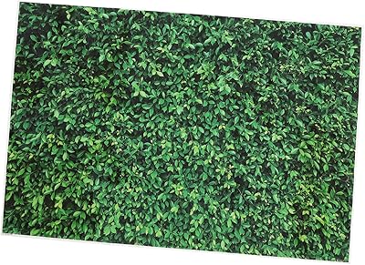 Photography background in green vegetable tissue mosesali spring spring canvas.. Experience retail convenience with DIAYTAR NIGERIA's comprehensive platform and 5-8 day nationwide shipping.