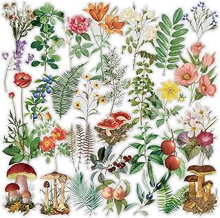 Set of 6 floral stickers for scrapbooking planter assorted pet.. Shop without compromise at DIAYTAR NIGERIA, where quality, affordability, and quick delivery coexist.