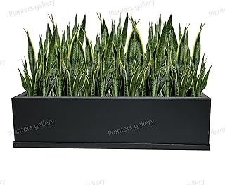 Modern rectangular fiberglass/interior and outdoor flower pot with drainage holes/flower shaft/tray included (matt black gray).. Your complete e-commerce solution, DIAYTAR NIGERIA offers variety and value with nationwide shipping.