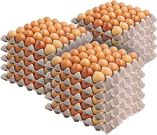 Egg boxes at 30 cells (package of 15) - Recyclable and stackable pulp fiber egg dishes for egg packaging, small tools, automotive parts, cardion colony - cardboard egg boxes for soundproofing - Stocke your home.. Shop the future with DIAYTAR NIGERIA - thousands of products, unbeatable prices, delivery within a week.