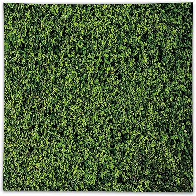 Funny tree Natural green grass leaves Photography Background 95x95 "Photography Background Decor of Green Air Grass Floor Celebration Prenatal Wedding Photo Photo Studio.. DIAYTAR NIGERIA brings a world of products to your fingertips with affordable prices and quick delivery.