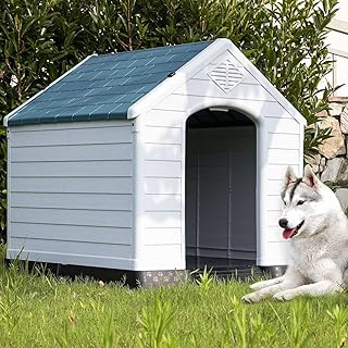 Niches for extra large dogs of small and large size