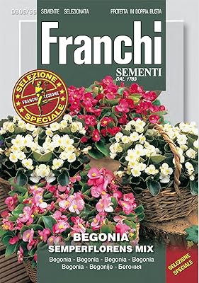 Fdbf_s 305-55 - Bégonia semperflorence mixture -.. Wide range, low cost, fast delivery — that’s DIAYTAR Nigeria.