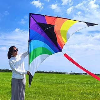 Simxkai kite for children and adults, 4,8 12 years old, beach kite, large kite, easy to pilot, delivered with a handful of 300 feet ropes stroke.. DIAYTAR NIGERIA: Empowering Nigerians with access to affordable products and reliable 5-8 day delivery.