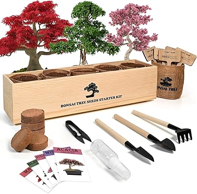 Kit of Bonsai Maker with full Kit for Culture Beginners, Excellent Pot Culture Gift for Adults.. DIAYTAR NIGERIA: Redefining e-commerce with affordable prices and reliable nationwide shipping.