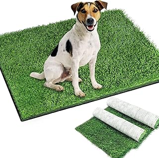 Synthetic Dog Synthetic Toilet Cushion 2 Pieces Grass Pot for dogs on which.. DIAYTAR NIGERIA: Where shopping is easy, prices are low, and delivery is just days away.