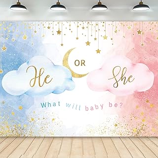 Newly blue pink sex reveal backdrop he or she celebrates decoration photography water watercolor rose 7wx5h cloud baby shower for newborn baby party decorations photoaton accessories supplies.. Experience the convenience of online shopping with DIAYTAR NIGERIA's reliable 5-8 day delivery service.
