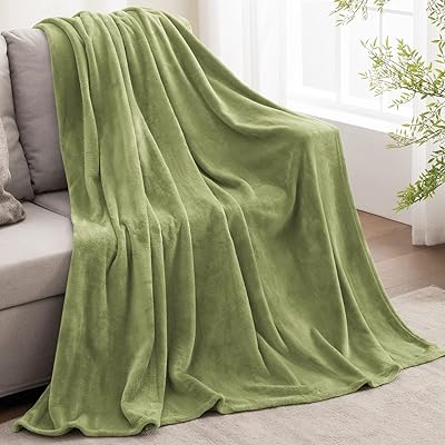 Sage Green Green Green Pedilitis Covers for Sofa and Bed, Comfortable Velvet Cover 50 "X 60", Super soft and hot covers for spring and summer.. Great products, lower prices, fast delivery — DIAYTAR Nigeria has it all.