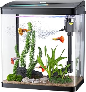 Bondon Aquarium in 3 in 1 glass with filter and light, mini desk aquarium for Betta fish, shrimp, red fish (black, 3 gallons).. Shop smart with DIAYTAR NIGERIA, offering a vast product range delivered to your doorstep within a week.